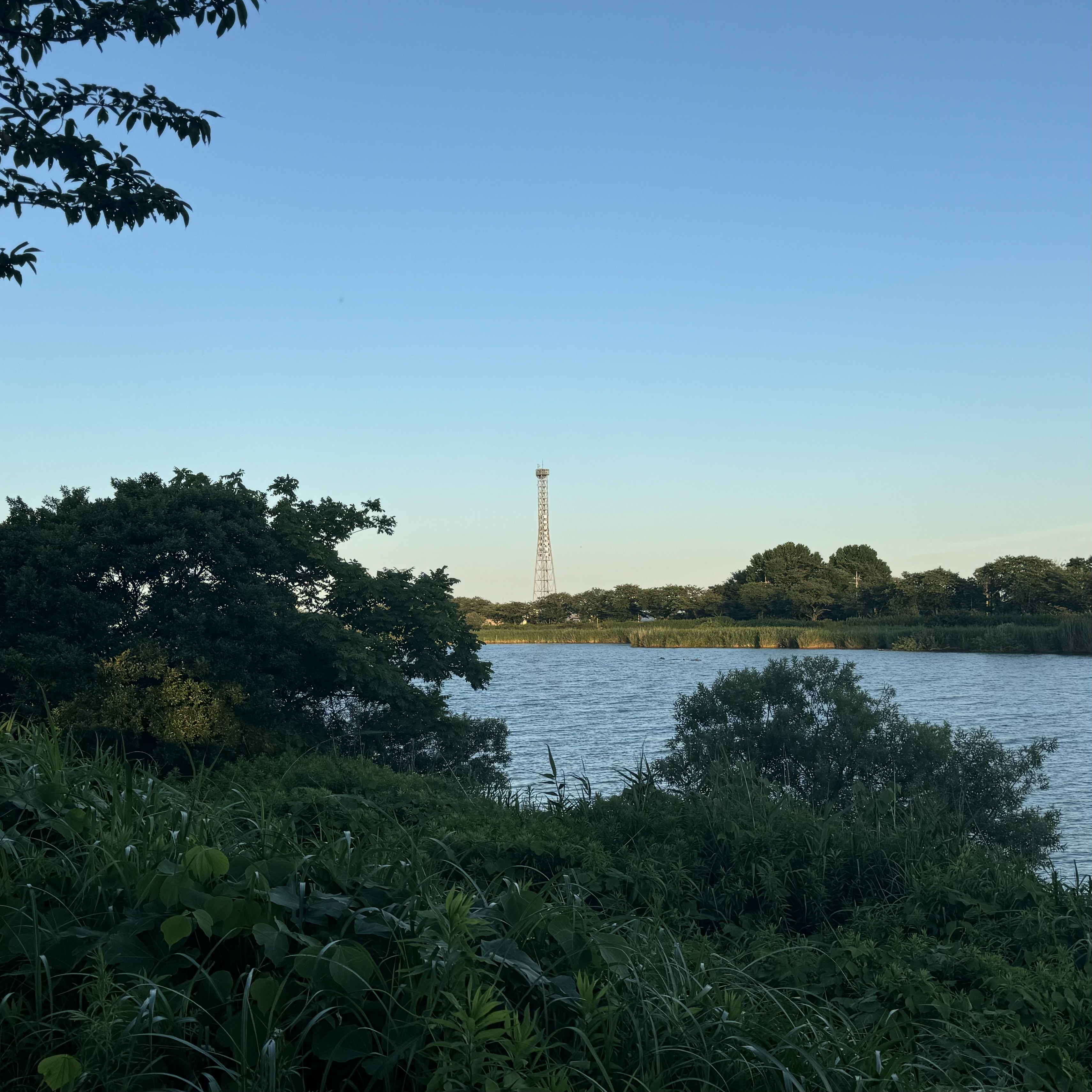 IMG_0819.jpeg