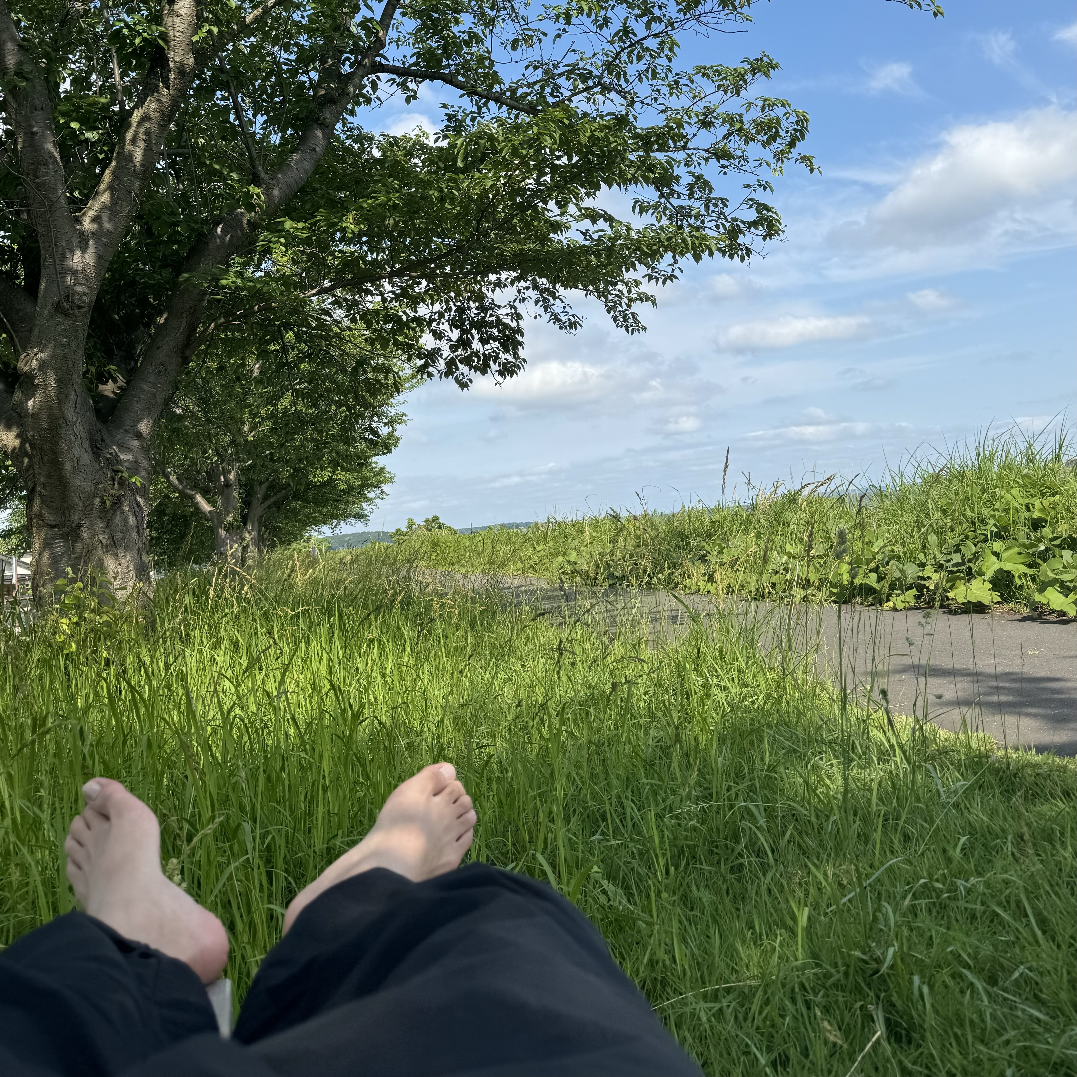IMG_0608.jpeg